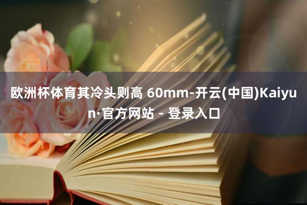 欧洲杯体育其冷头则高 60mm-开云(中国)Kaiyun·官方网站 - 登录入口