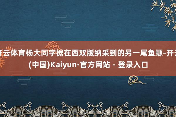 开云体育杨大同字据在西双版纳采到的另一尾鱼螈-开云(中国)Kaiyun·官方网站 - 登录入口