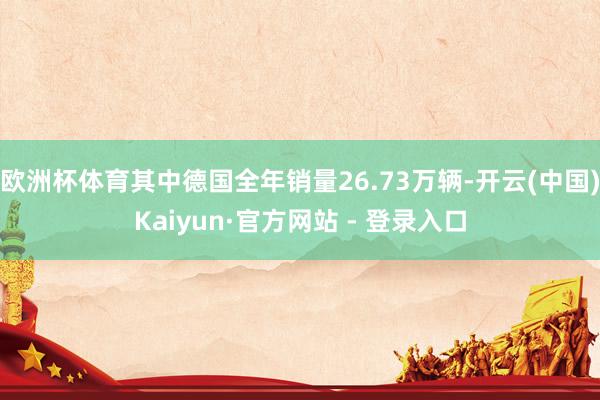 欧洲杯体育其中德国全年销量26.73万辆-开云(中国)Kaiyun·官方网站 - 登录入口